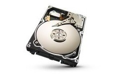 Seagate Constellation.2 250GB
