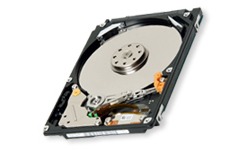 Toshiba MK3261GSYN 320GB