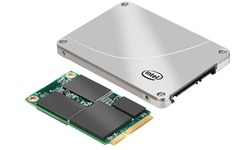 Intel 313 Series 20GB (mSata)