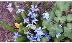 Samsung Galaxy S4 Black