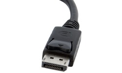 StarTech.com DP2VGA2