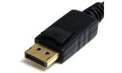 StarTech.com DP2VGA2