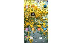 Sony Xperia Z2 Black