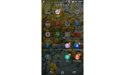Sony Xperia Z2 Black