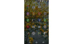 Sony Xperia Z2 Black