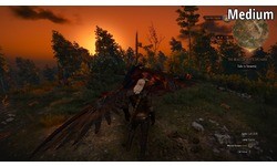 The Witcher 3: Wild Hunt (PC)