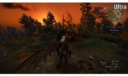 The Witcher 3: Wild Hunt (PC)