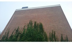 Sony Xperia Z3 Copper