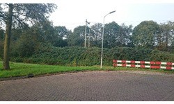 Sony Xperia Z3 Copper