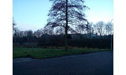 Acer Liquid Jade S55 White