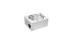 Super Flower Leadex Gold 750W White