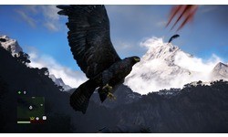 Far Cry 4 (PC)