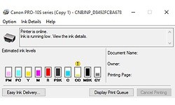 Canon Pixma Pro 10S