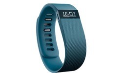 Fitbit Charge Small Grey