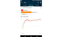 Fitbit Surge Large Black