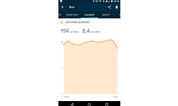 Fitbit Surge Large Black