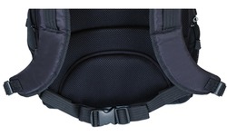 Dell Targus Campus Backpack Notebook Carrying Backpack 16