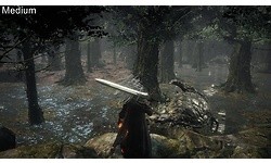 Dark Souls III (PC)