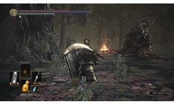 Dark Souls III (PC)
