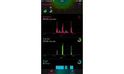 Apple Watch OLED 42mm Black Sport Band Black