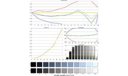 Toshiba Satellite C55-C-1CU