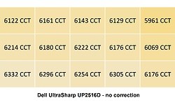 Dell UltraSharp UP2516D