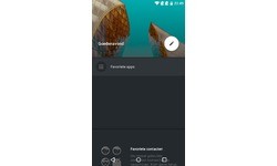 OnePlus X