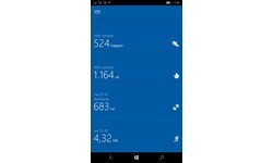 Microsoft Band 2 Medium