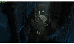 Rise of the Tomb Raider (PC)