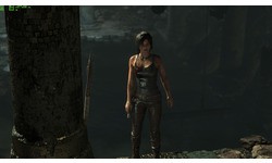 Rise of the Tomb Raider (PC)