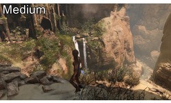 Rise of the Tomb Raider (PC)