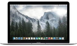 Apple MacBook 12" Retina (MLHA2D/A)