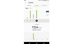 Samsung Gear Fit2 Large Black