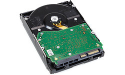 Western Digital Gold 10TB