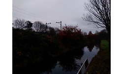 Wileyfox Swift 2 Plus Blue