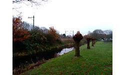 Wileyfox Swift 2 Plus Blue