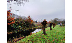 Wileyfox Swift 2 Plus Blue