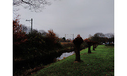 Wileyfox Swift 2 Plus Blue