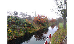 Wileyfox Swift 2 Plus Blue