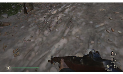 Call of Duty: WWII (PC)