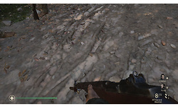 Call of Duty: WWII (PC)