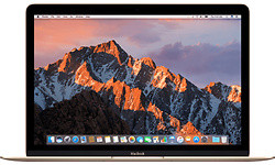 Apple MacBook 12 (MNYM2N/A)