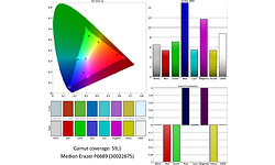Medion Erazer P6689-i5-256 (30022675)