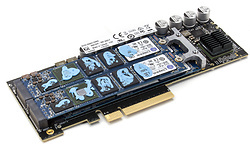 Kingston DCP1000 1.6TB