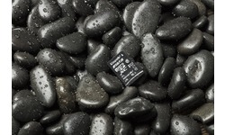 Kingston Canvas Select MicroSDHC UHS-I 32GB + Adapter