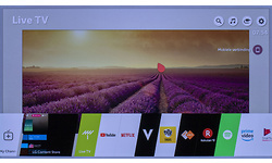 LG OLED55C8P