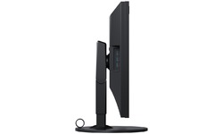 Eizo CG319-4K
