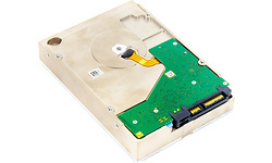 Seagate SkyHawk AI 10TB (ST10000VE0004)