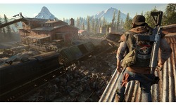 Days Gone (PlayStation 4)
