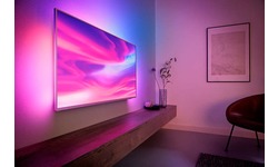 Philips The One 65PUS7304